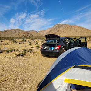 Mojave Moonlight Campground