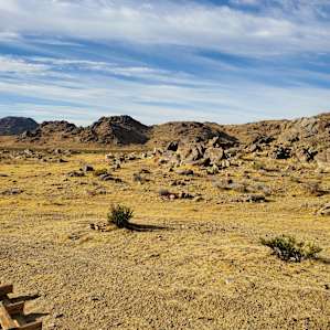 Mojave Moonlight Campground