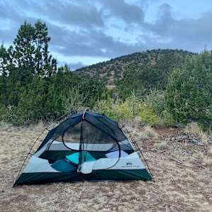 Secluded campsites with view+stars