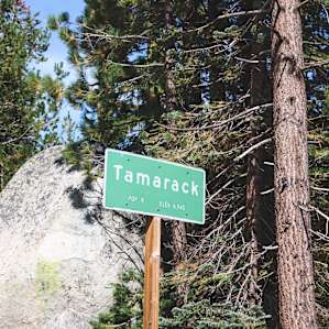 Tamarack Population 9-Camping!