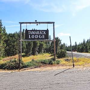Tamarack Population 9-Camping!