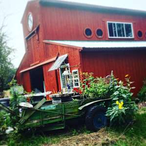 Art barn