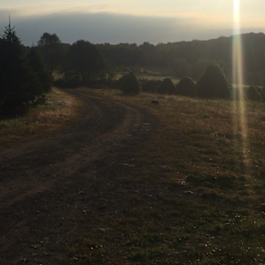 View of the road that leads to the campsite