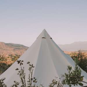 Our whimsical enclosure blending into the landscape.