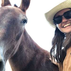 This is Kate, the mule, and she’s the coolest!