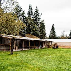 Camping on The Farm