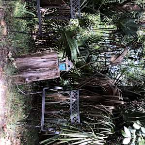 River Goddess Chalet Lithia Florida