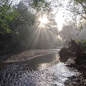 Southern Serenity