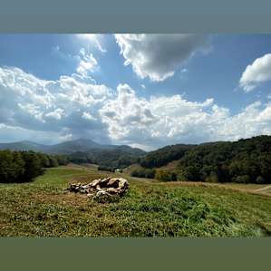 Pasture Paradise