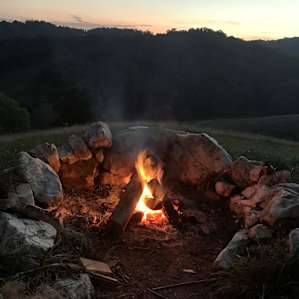Pasture Paradise