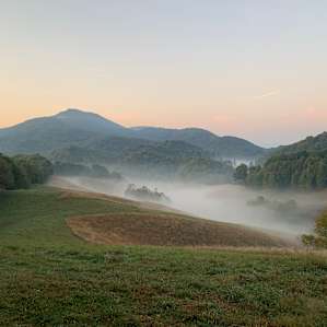 Pasture Paradise