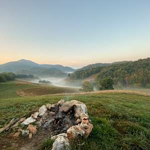 Pasture Paradise