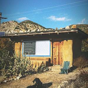 Pup felt right at home, playing guard to all the cacti