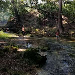 Running Spring #1