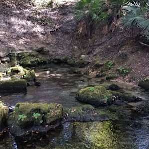 Running Springs River Retreat