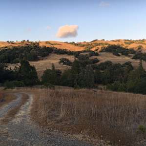 Queer Community Cabins in the woods