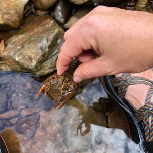 We spent hours catching mud bugs and playing in the water.