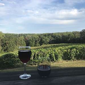 Winery is just a few minute walk from the camp site.