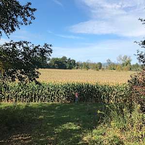 Hudson Valley Farm RV Sleep 3