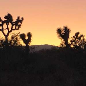 One of many exquisite sunsets.
