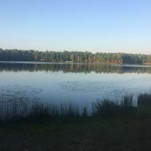 Short walk to lake