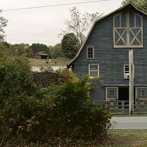 Across the street is a horse farm. We loved waking up and watching them roam.