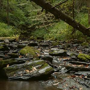 About 20 minutes from the farm are beautiful hikes.