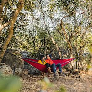 Lots of trees for you to set up and hammock