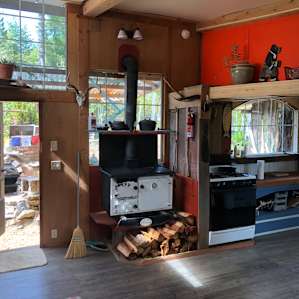 Wood stove and gas stove