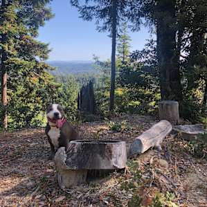 log bench & tables a short hike from cabin. Overlook views.