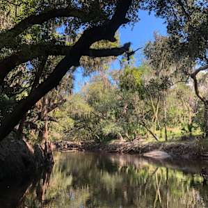 River Goddess Chalet Lithia Florida