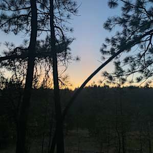 Rustic Tipi Experience