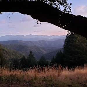 View from the firepit/picnic table