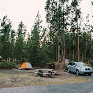 Typical layout of the campsites in loop H. (Tent only loop)