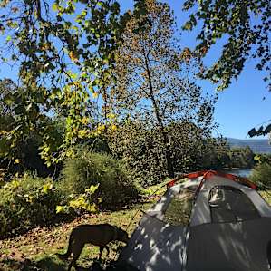 Riverfront Campsite