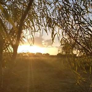 Sun going to bed