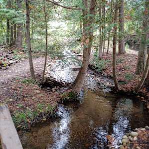Cotton Creek Rustic Campsites