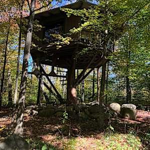 The Magical Treehouse