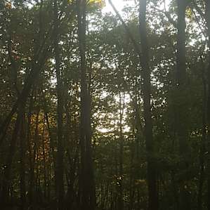 Your Toccoa River Mountaintop!