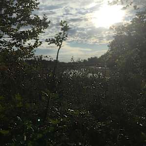 Secluded Campsite by the lake