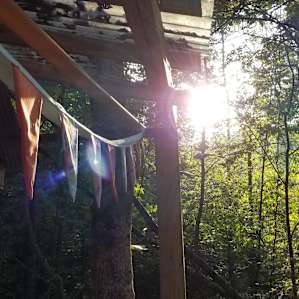 Babbling Brook Treehouse