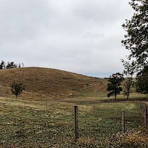 The Blue Horn Farmstay Getaway