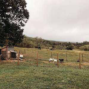 The Blue Horn Farmstay Getaway