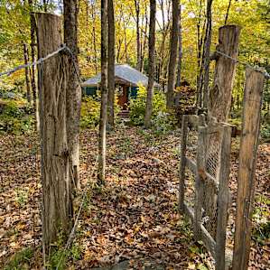 Glamping on the Farm!