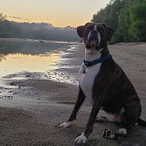 White Bluff Primitive Camping