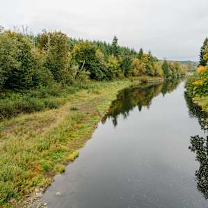 The adjacent Chehalis River.