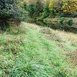 The fishing hole.