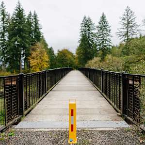 Nearby bridge over the Chehalis River.