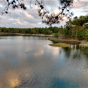 Tiny Cabin on a Private Lake