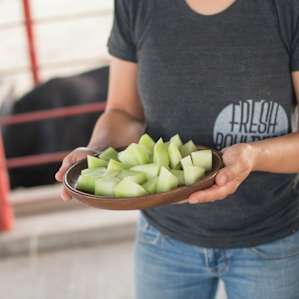Gary was nice enough to share some fresh garden honeydew with us